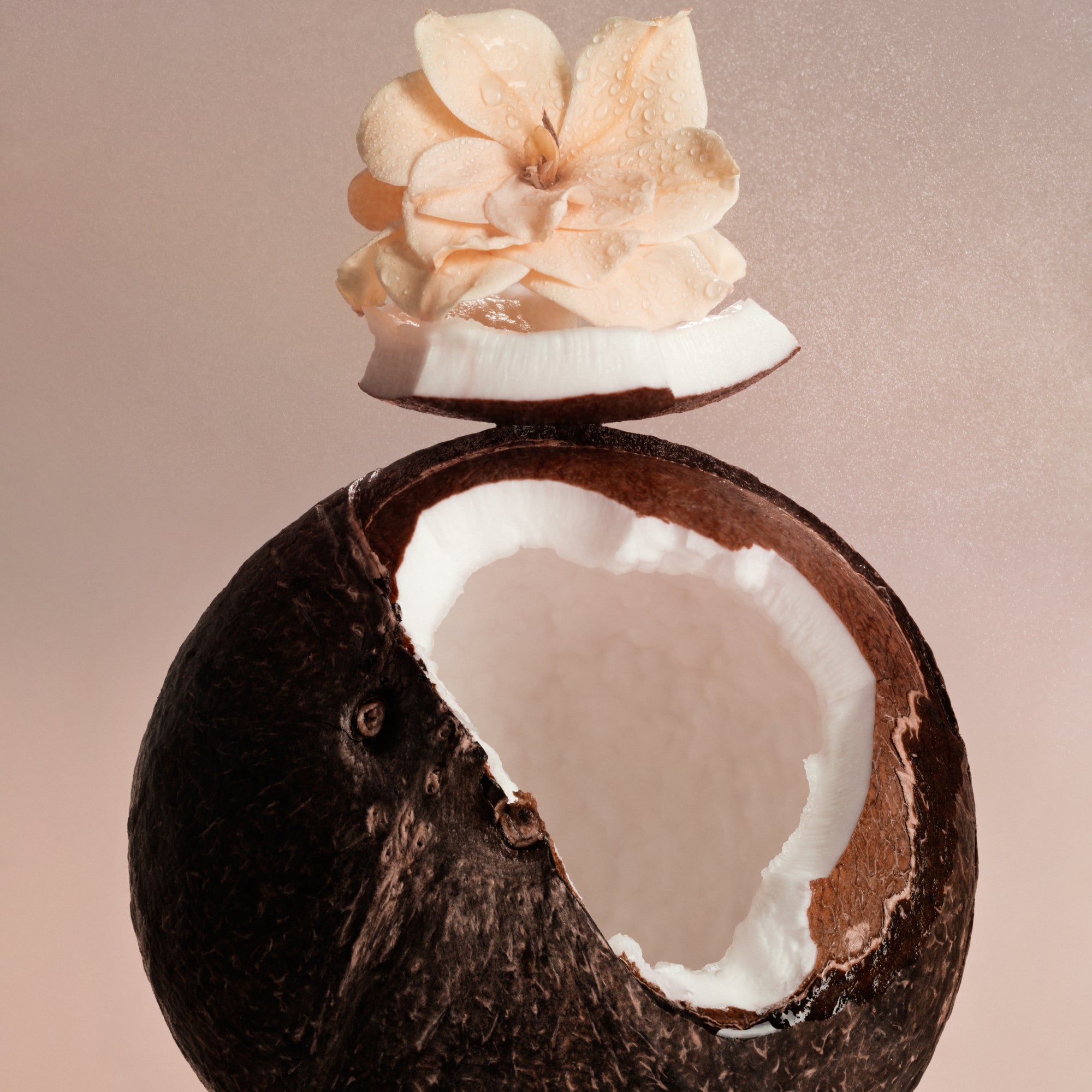 Coconut Skin - Travel Size Body Mist - Image 4