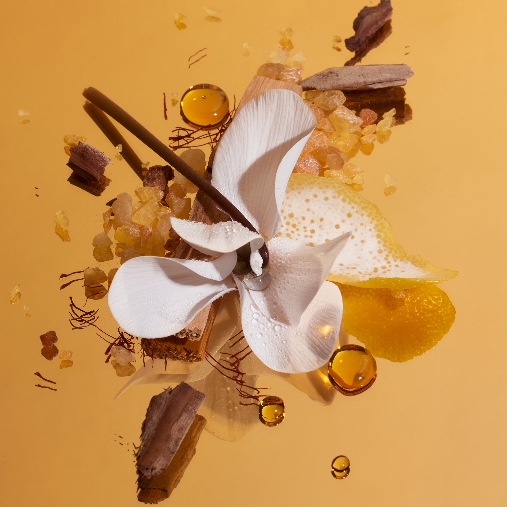 Somebody Wood - Fragrance Duet - Image 4