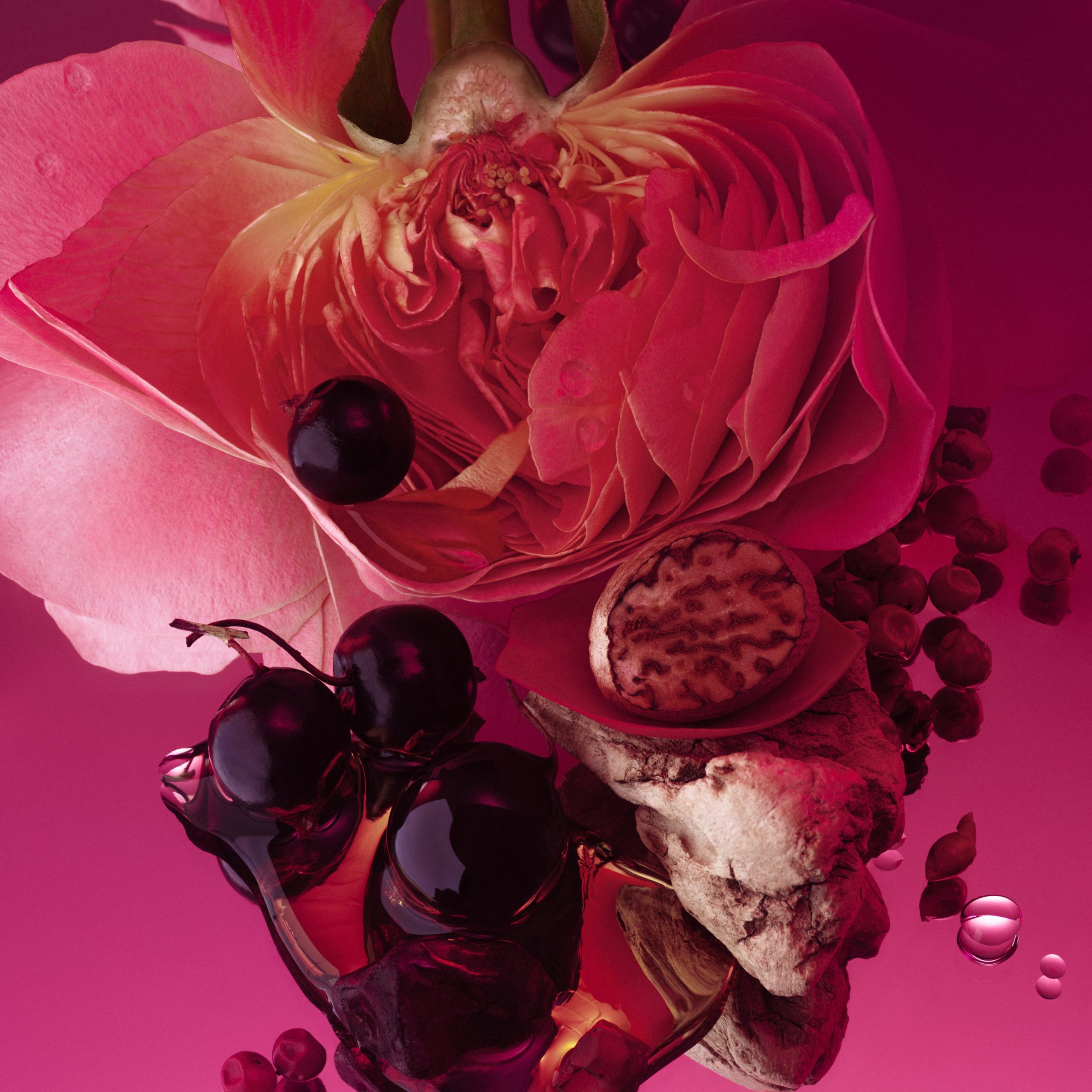 Rose Whip - Layering Duo - Image 4