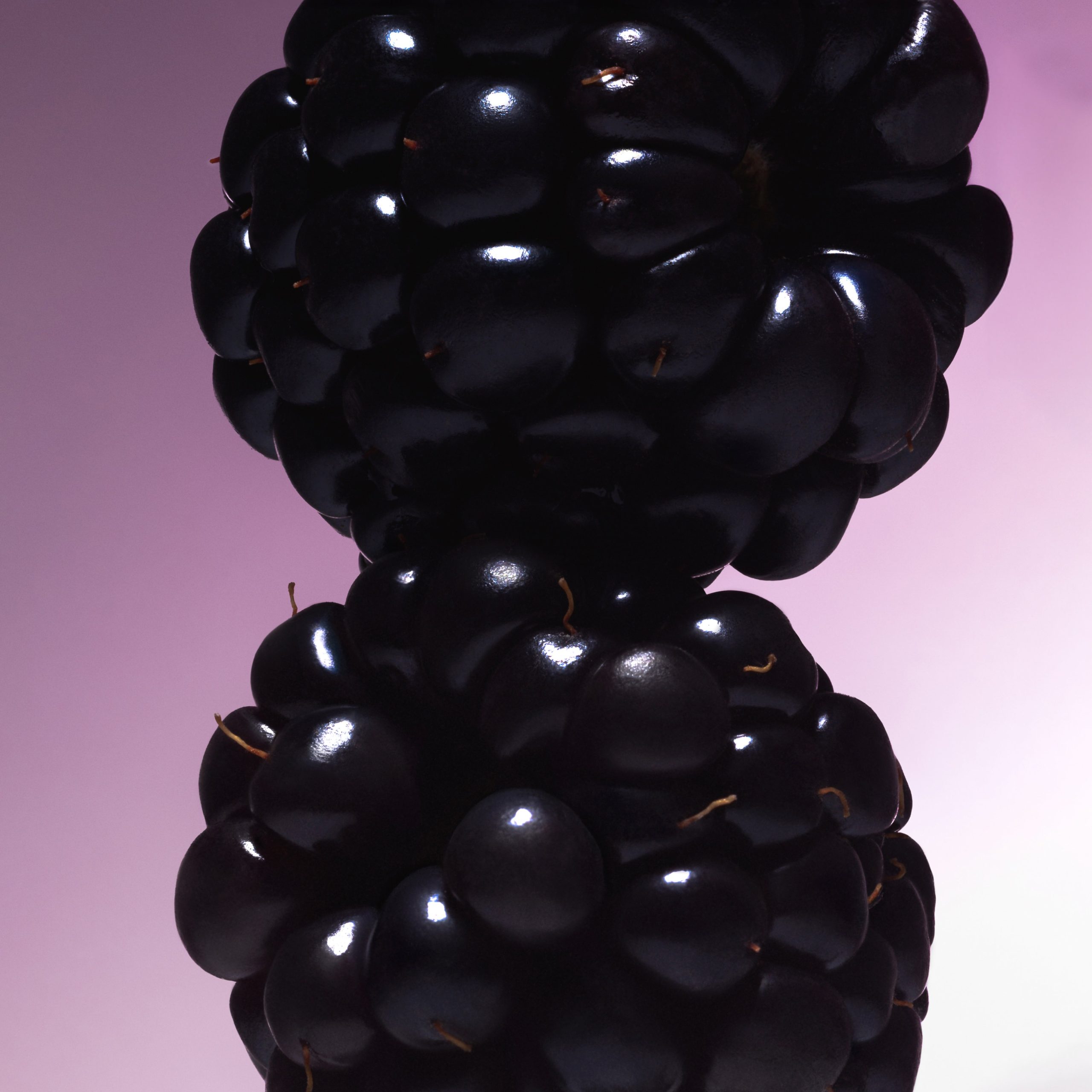 Vanilla Blackberry - Body Mist - Image 4