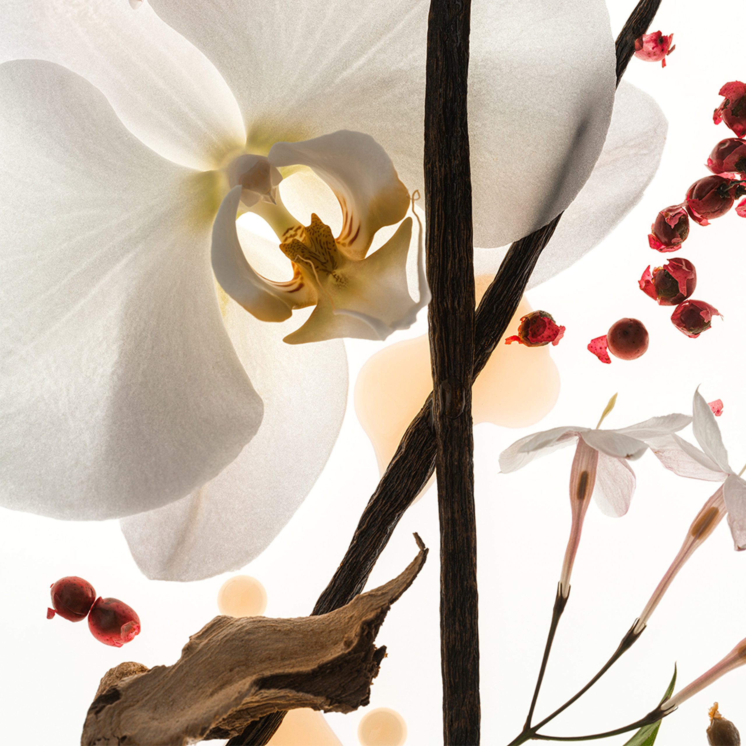 Vanilla Skin - Body Oil - Image 4